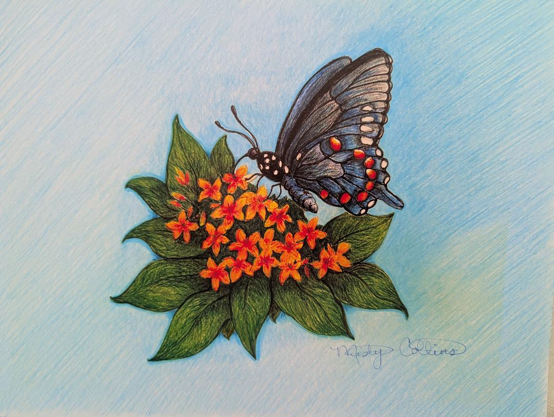 Art Butterfly