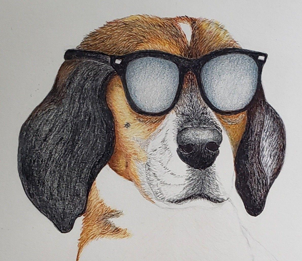 Art Dog